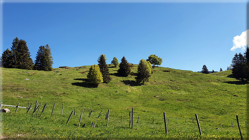 foto Piana del Vezzena